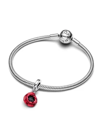 Шармы-подвески PANDORA Moments модель 793917C01 Фото