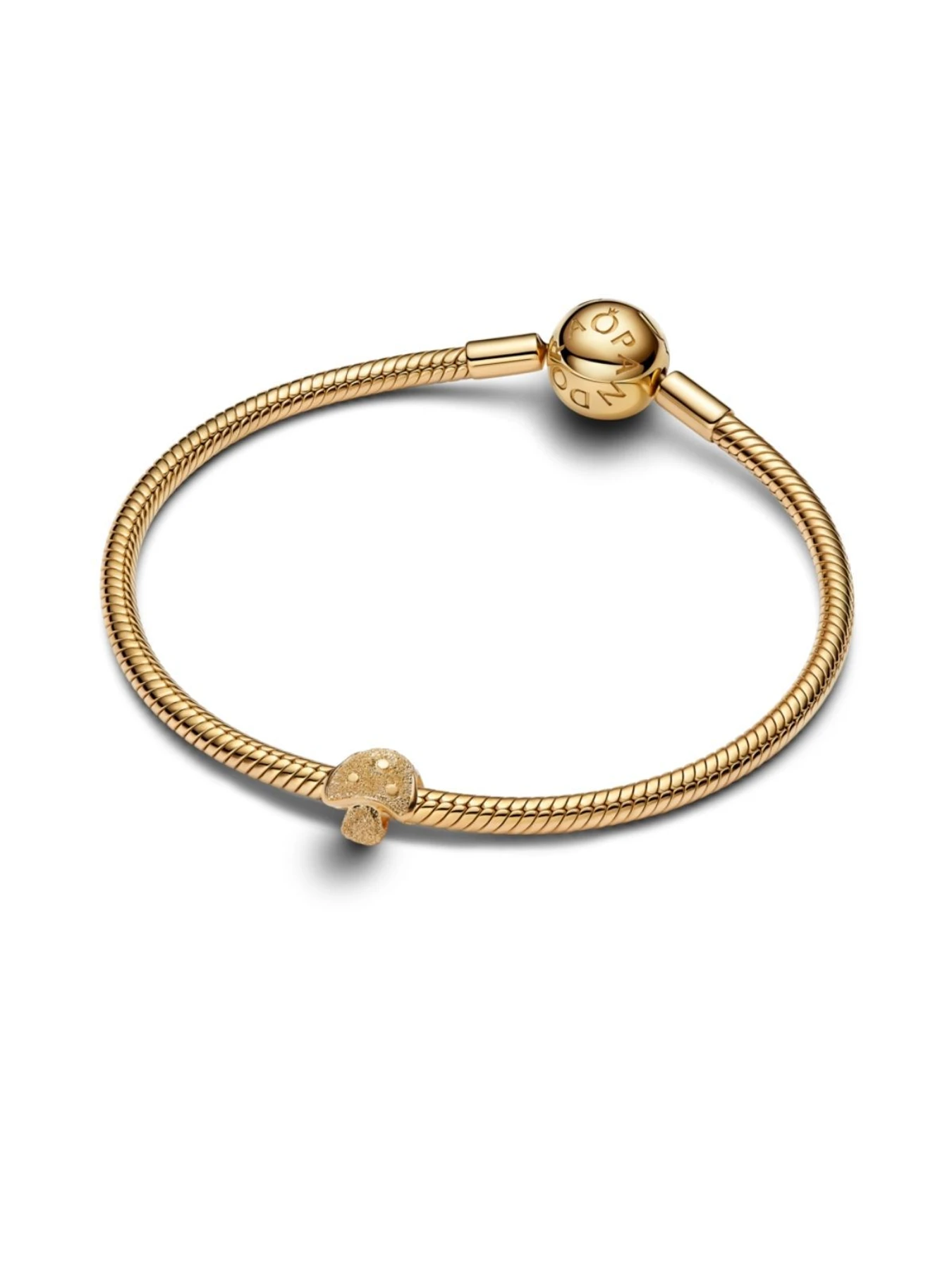 Классические PANDORA модель 764048C00 Фото