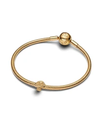 Классические PANDORA модель 764048C00 Фото