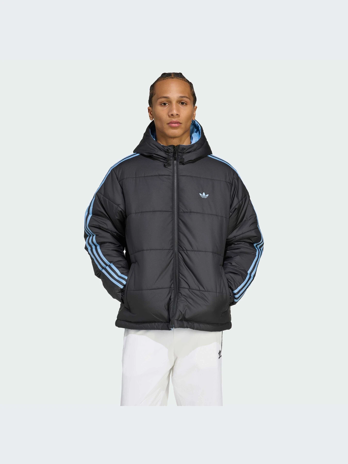 Куртки и дубленки Adidas Adicolor модель JW5846-KZ Куртки и дубленки Adidas Adicolor модель JW5846-KZ Фото