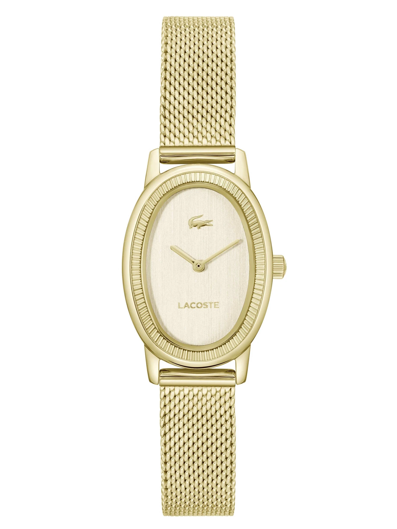Часы Lacoste модель 2001453 Часы Lacoste модель 2001453 Фото