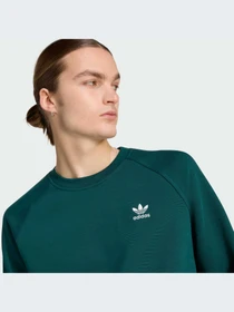 Худи и свитшоты Adidas модель HY2081-KZ Фото