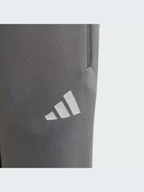 Брюки Adidas модель JW8510-KZ Фото
