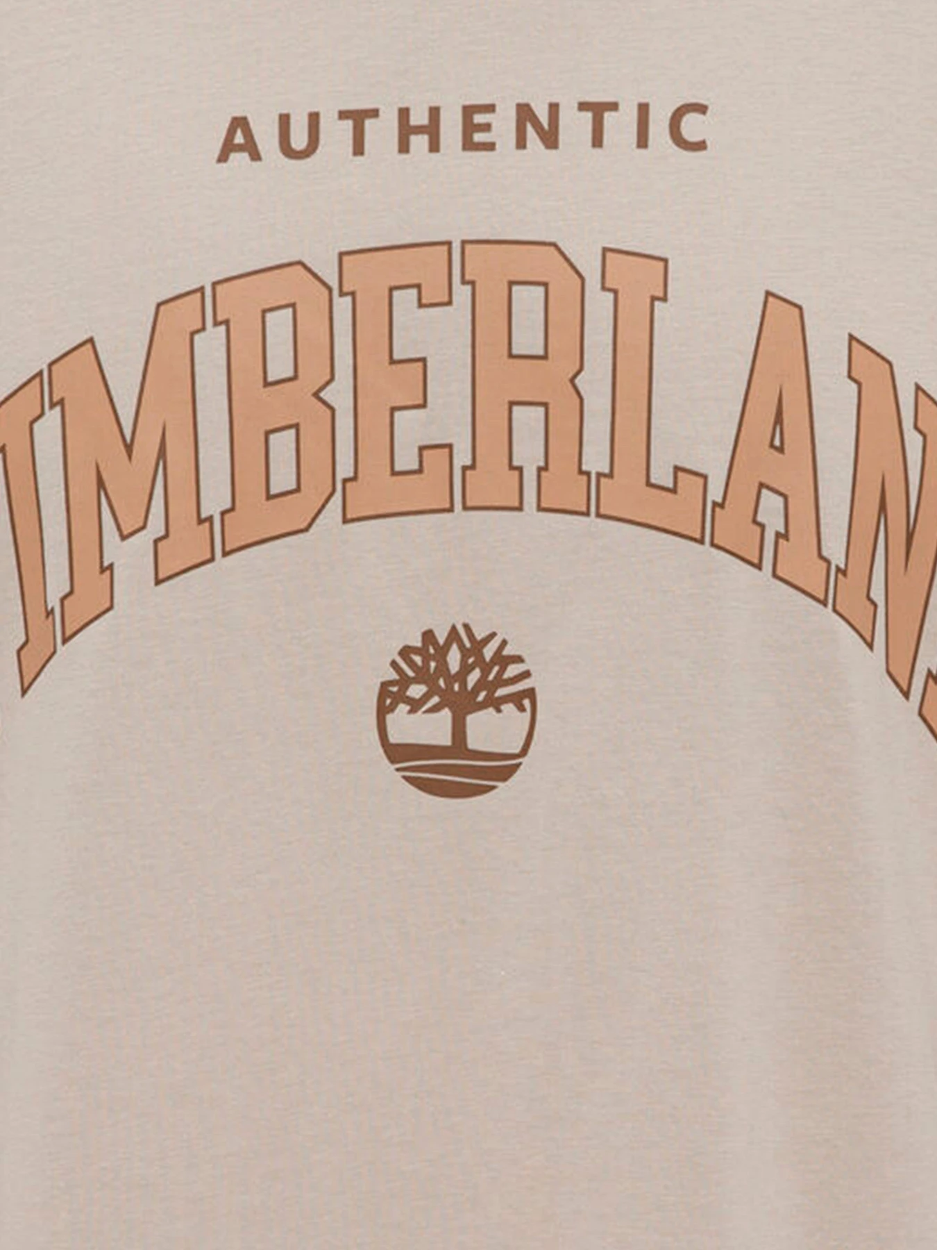 Худи и свитшоты Timberland модель TB0A6M3FCY2 Худи и свитшоты Timberland модель TB0A6M3FCY2 Фото
