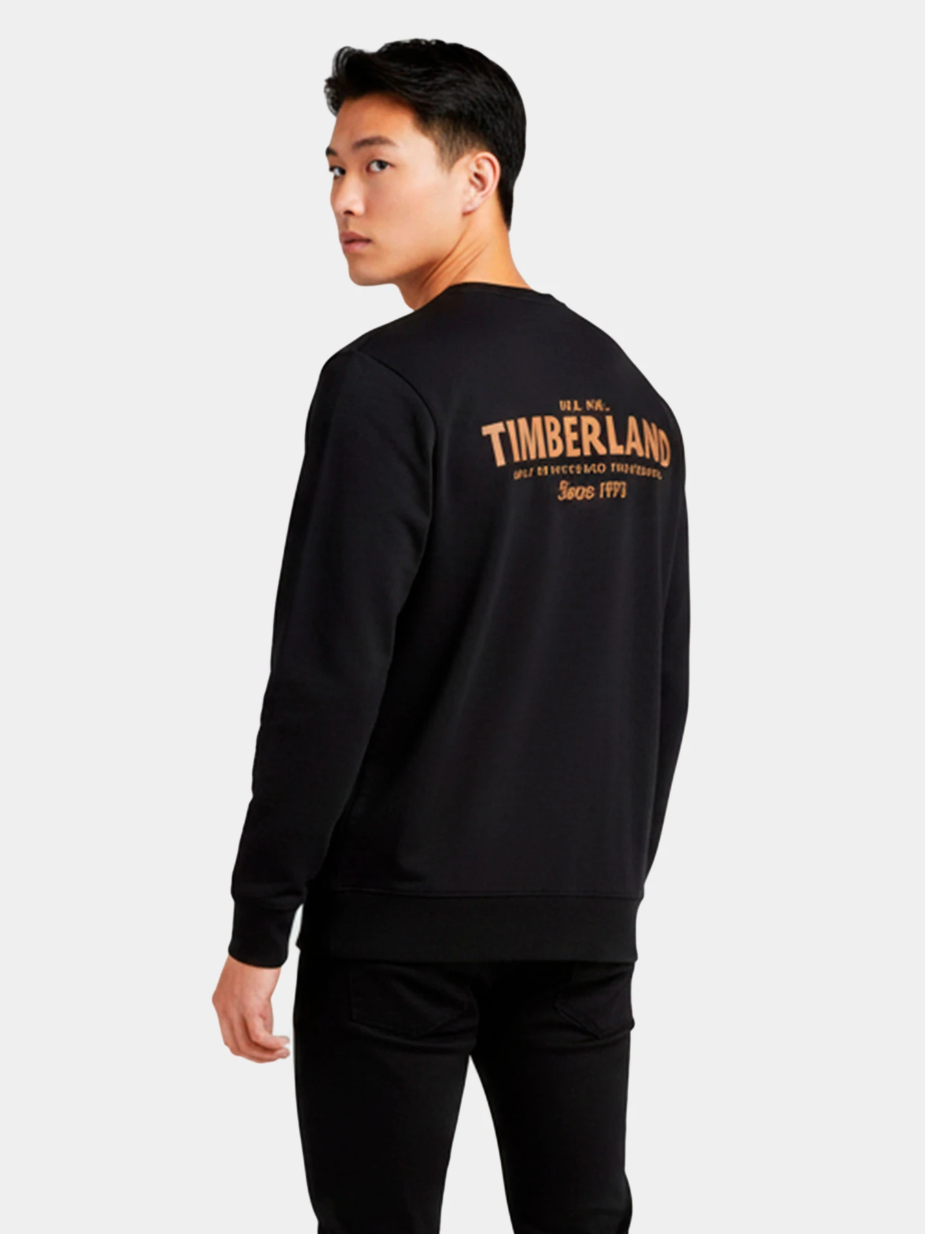 Худи и свитшоты Timberland модель TB0A6M6K001 Худи и свитшоты Timberland модель TB0A6M6K001 Фото