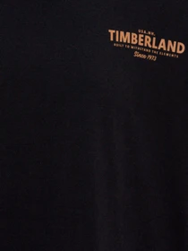 Худи и свитшоты Timberland модель TB0A6M6K001 Фото