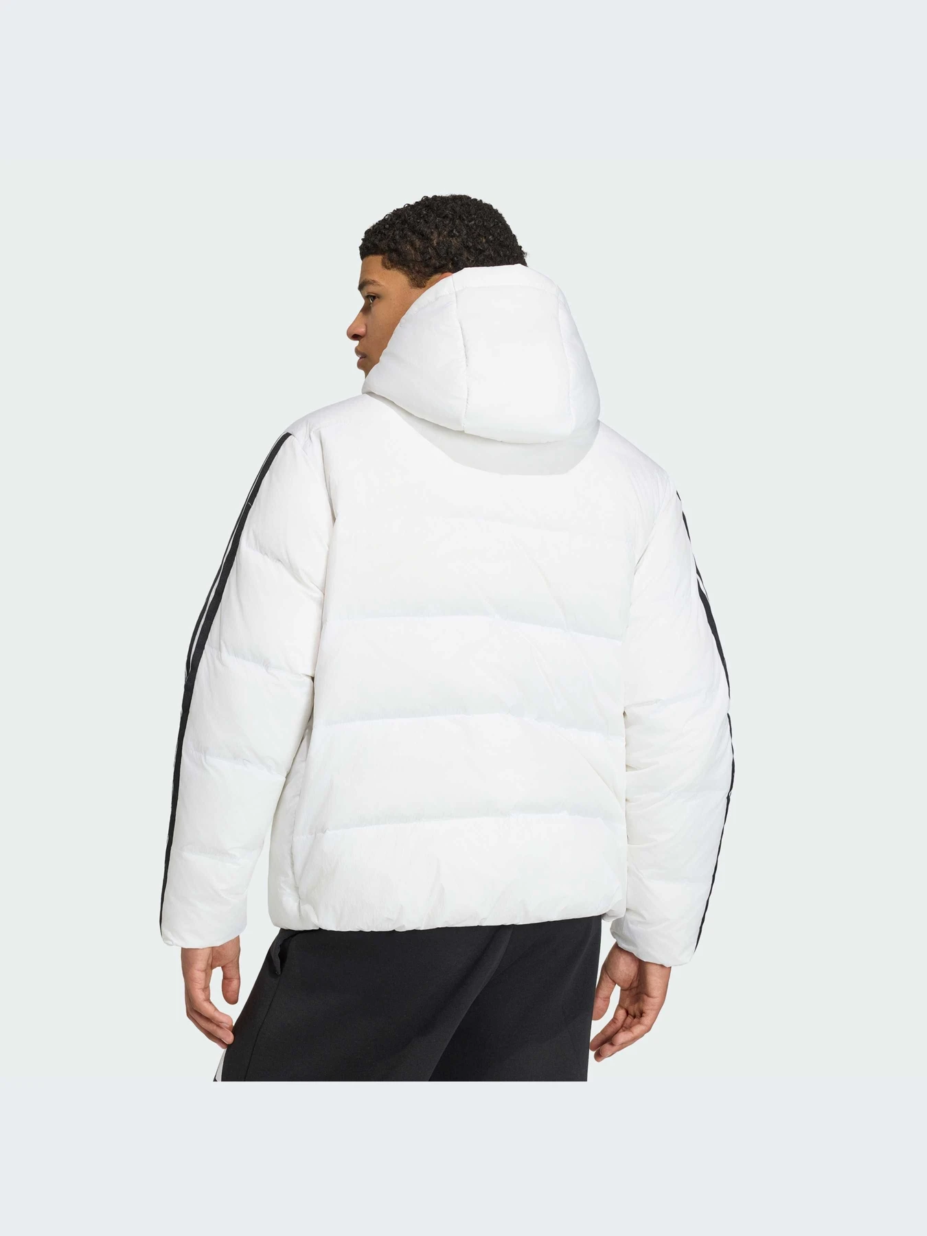 Куртки и дубленки Adidas модель JX7800-KZ Куртки и дубленки Adidas модель JX7800-KZ Фото