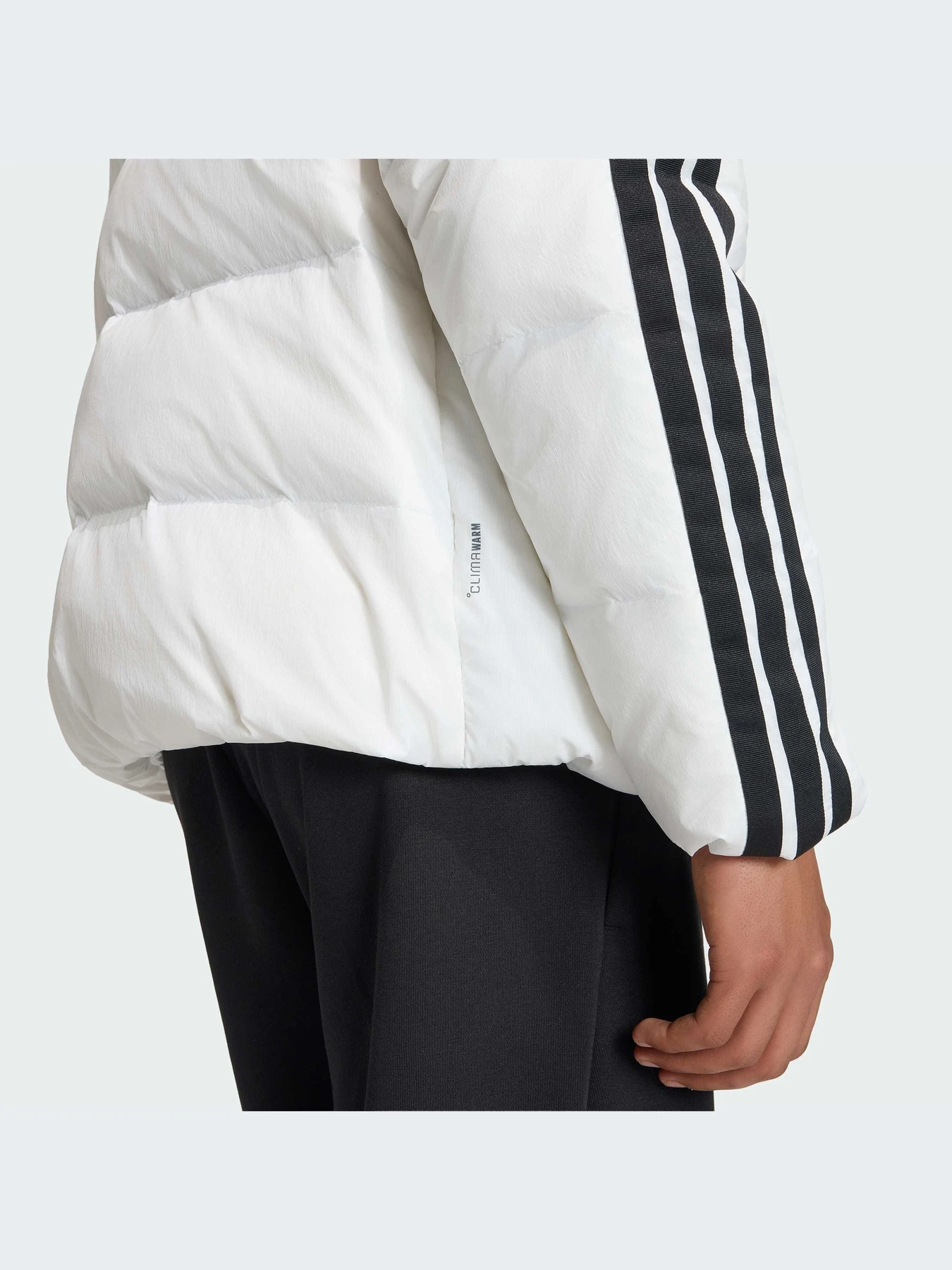 Куртки и дубленки Adidas модель JX7800-KZ Куртки и дубленки Adidas модель JX7800-KZ Фото