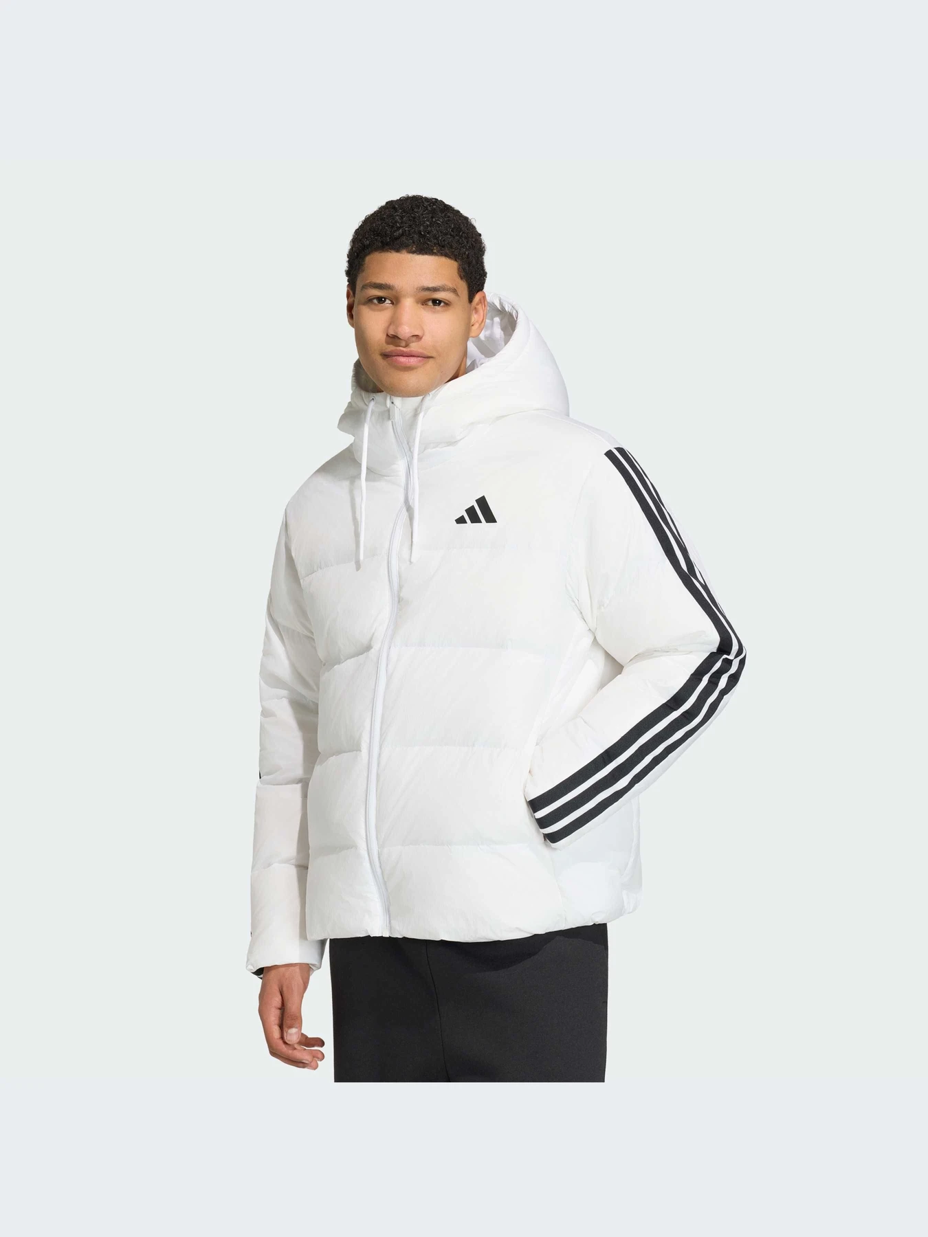 Куртки и дубленки Adidas модель JX7800-KZ Куртки и дубленки Adidas модель JX7800-KZ Фото