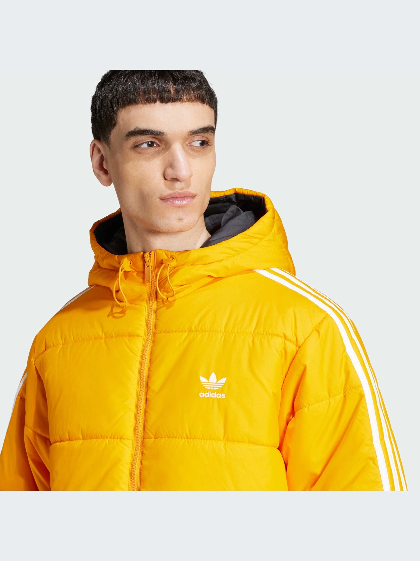 Куртки и дубленки Adidas Adicolor модель JD9074-KZ Куртки и дубленки Adidas Adicolor модель JD9074-KZ Фото
