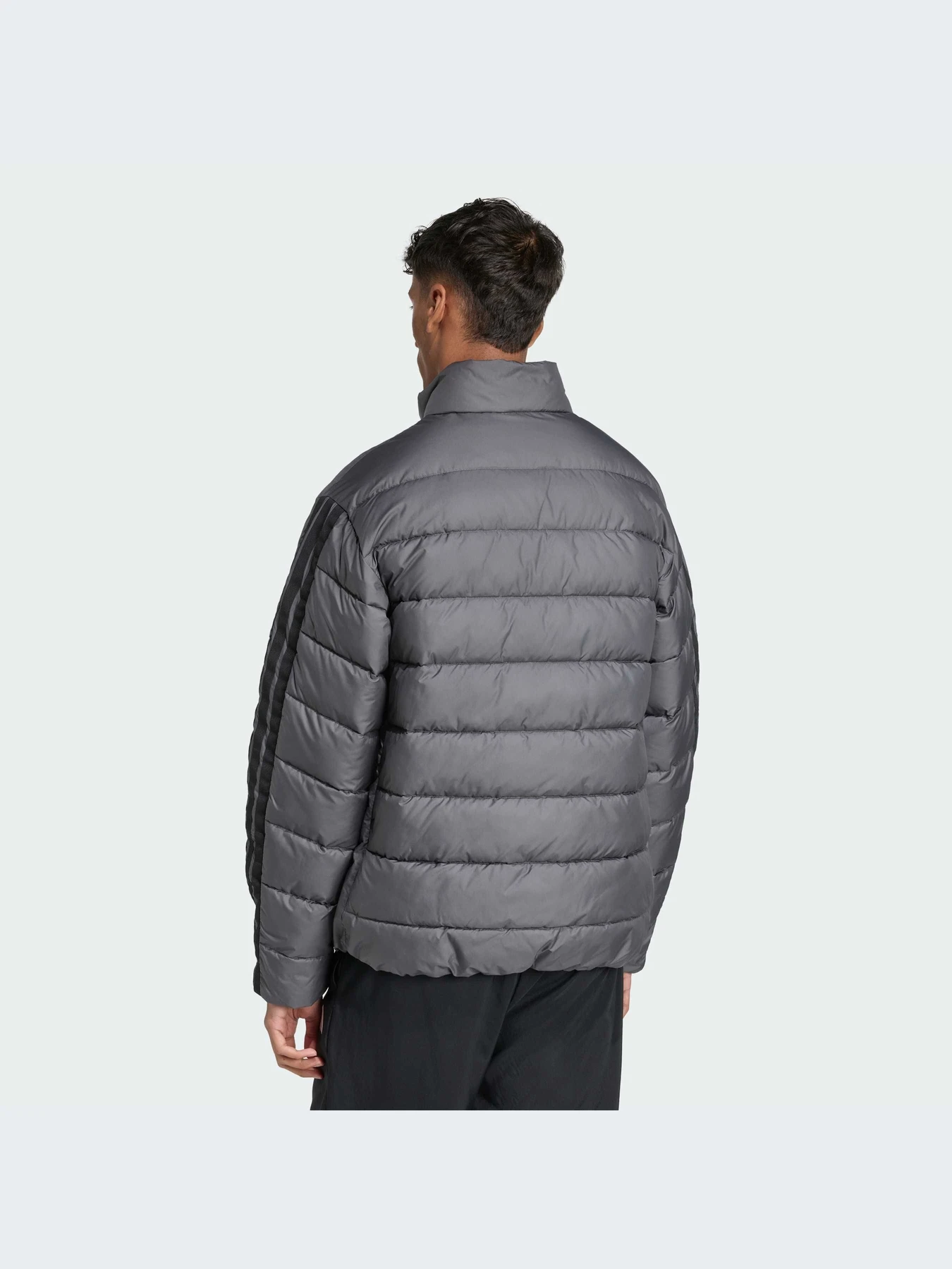 Куртки и дубленки Adidas модель JX7770-KZ Куртки и дубленки Adidas модель JX7770-KZ Фото