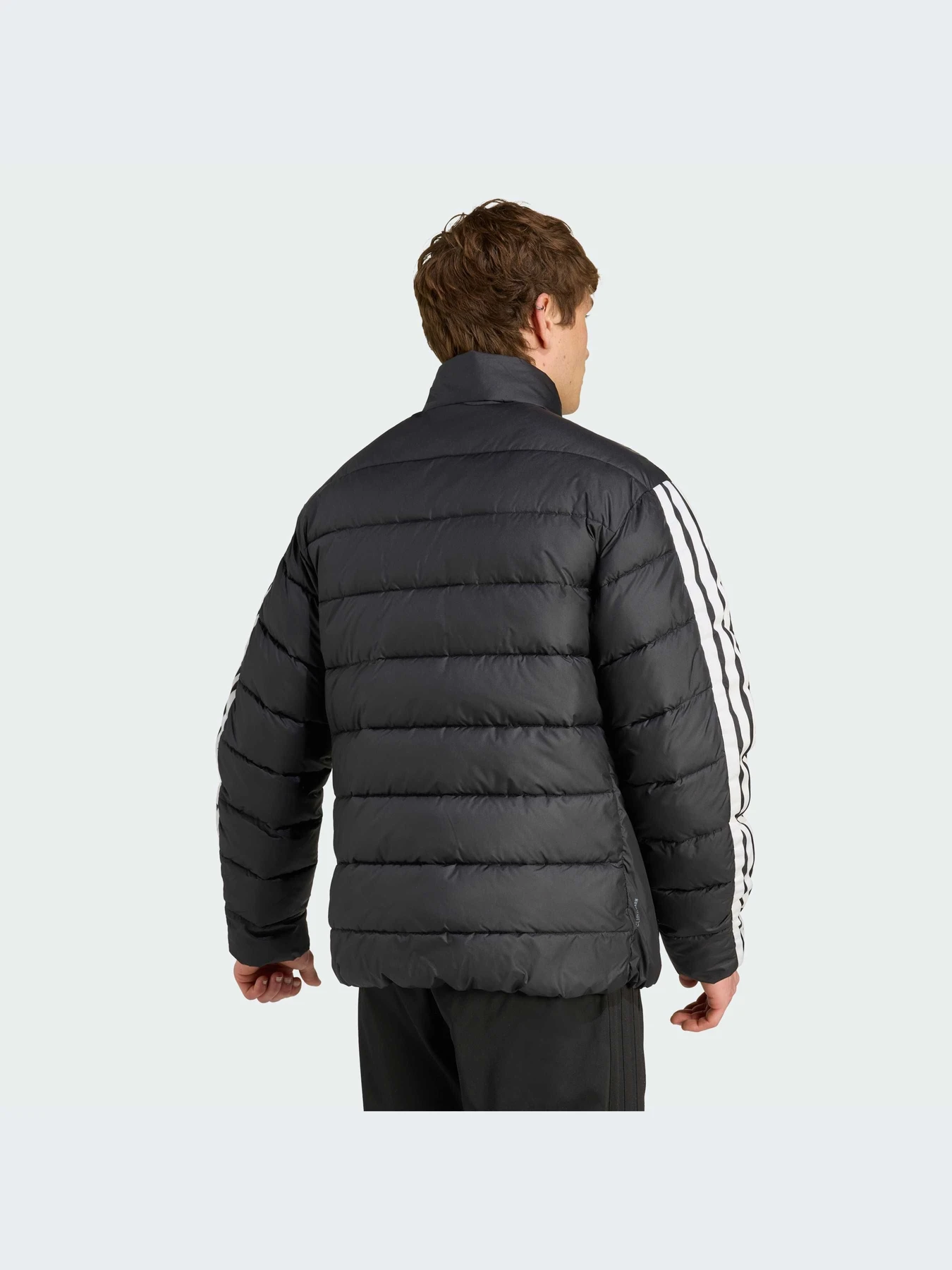Куртки и дубленки Adidas модель JM8416-KZ Куртки и дубленки Adidas модель JM8416-KZ Фото