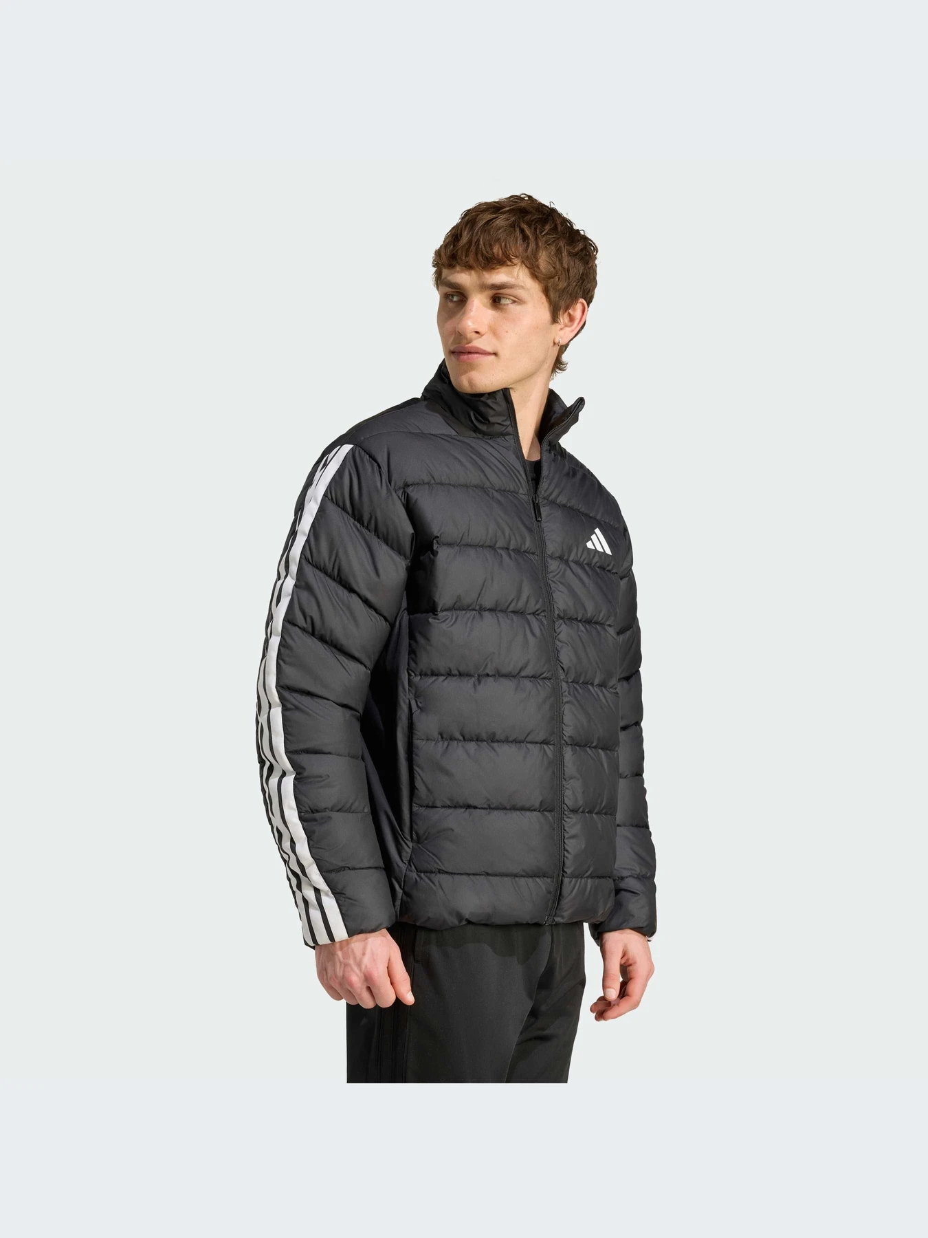 Куртки и дубленки Adidas модель JM8416-KZ Куртки и дубленки Adidas модель JM8416-KZ Фото