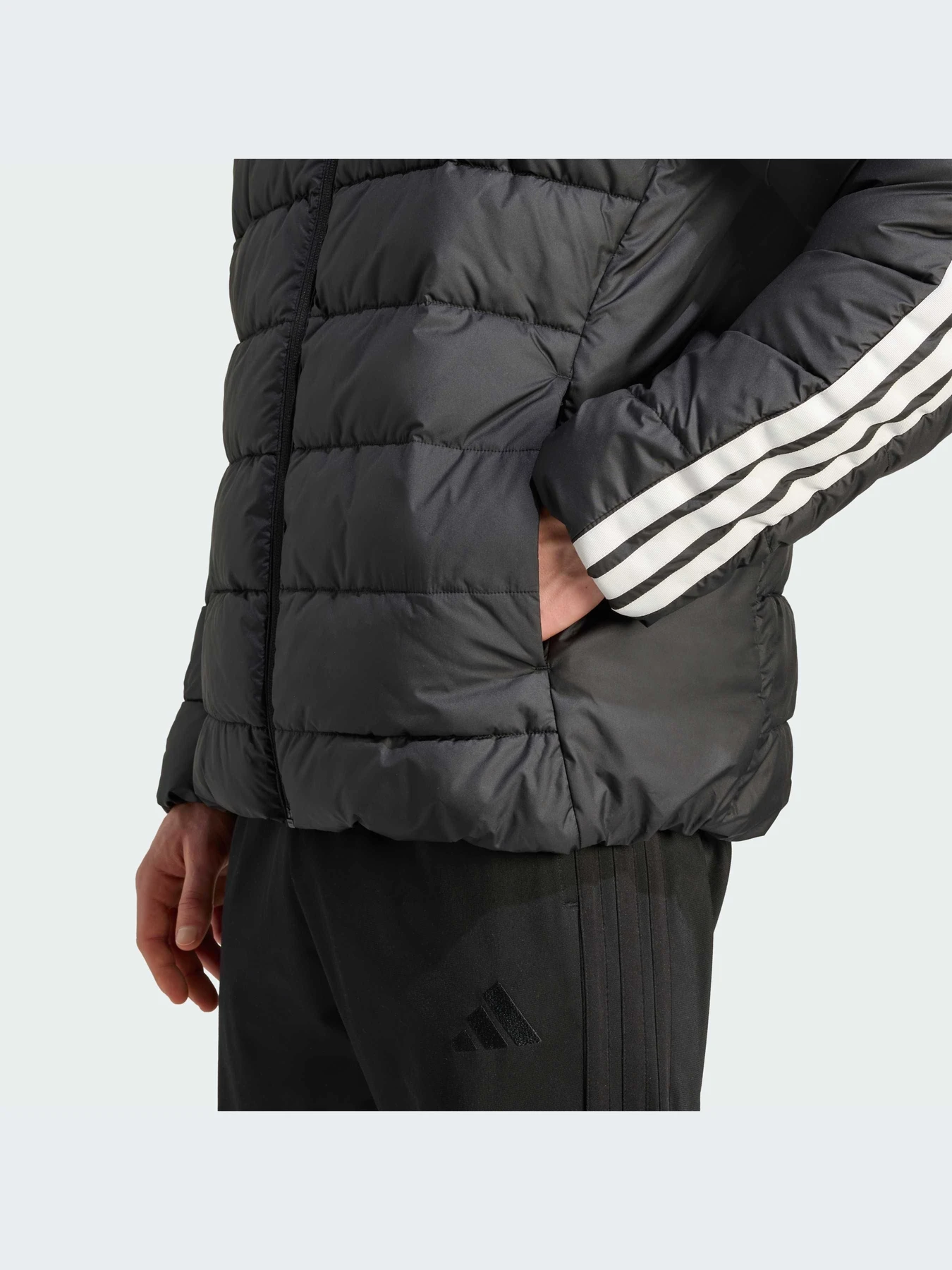 Куртки и дубленки Adidas модель JM8416-KZ Куртки и дубленки Adidas модель JM8416-KZ Фото