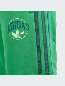 Шорты Adidas Graphics модель IR7610-KZ Фото