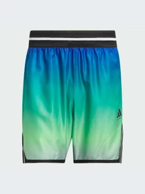 Шорты Adidas модель JV6912-KZ Фото