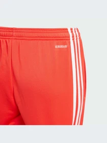 Брюки Adidas модель IJ9549-KZ Фото