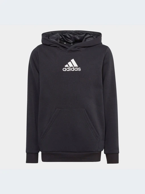 Худи и свитшоты Adidas модель HR6349-KZ Фото