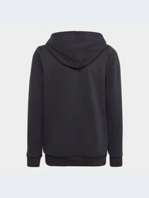 Худи и свитшоты Adidas модель HR6349-KZ Фото