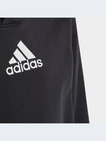 Худи и свитшоты Adidas модель HR6349-KZ Фото