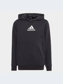 Худи и свитшоты Adidas модель HR6349-KZ Фото