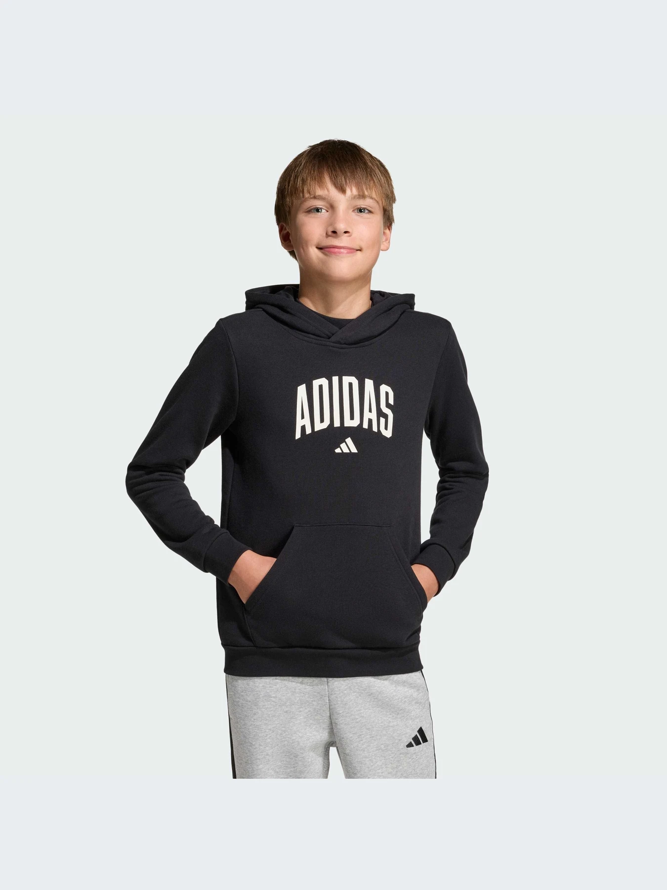 Худи и свитшоты Adidas модель KA2990-KZ Худи и свитшоты Adidas модель KA2990-KZ Фото