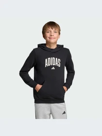 Худи и свитшоты Adidas модель KA2990-KZ Фото