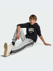 Худи и свитшоты Adidas модель KA2990-KZ Фото