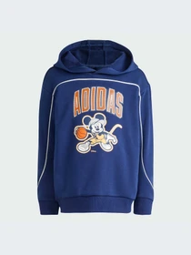 Худи и свитшоты Adidas модель JZ3561-KZ Фото