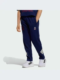 Брюки Adidas модель JZ3570-KZ Фото