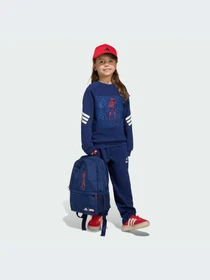 Костюмы Adidas модель JZ3569-KZ Фото