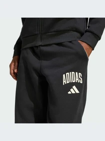 Брюки Adidas модель KC4573-KZ Фото