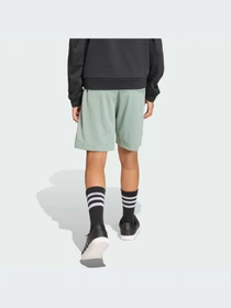 Шорты Adidas модель KD0986-KZ Фото