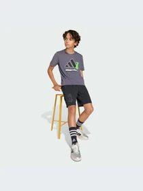 Шорты Adidas модель KA0243-KZ Фото