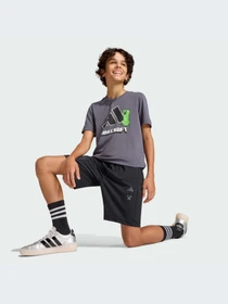 Шорты Adidas модель KA0243-KZ Фото