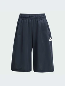 Шорты Adidas модель KC4640-KZ Фото