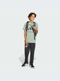 Брюки Adidas модель KD0984-KZ Фото