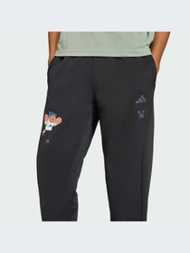 Брюки Adidas модель KD0984-KZ Фото