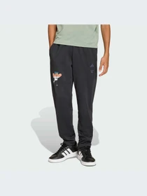 Брюки Adidas модель KD0984-KZ Фото