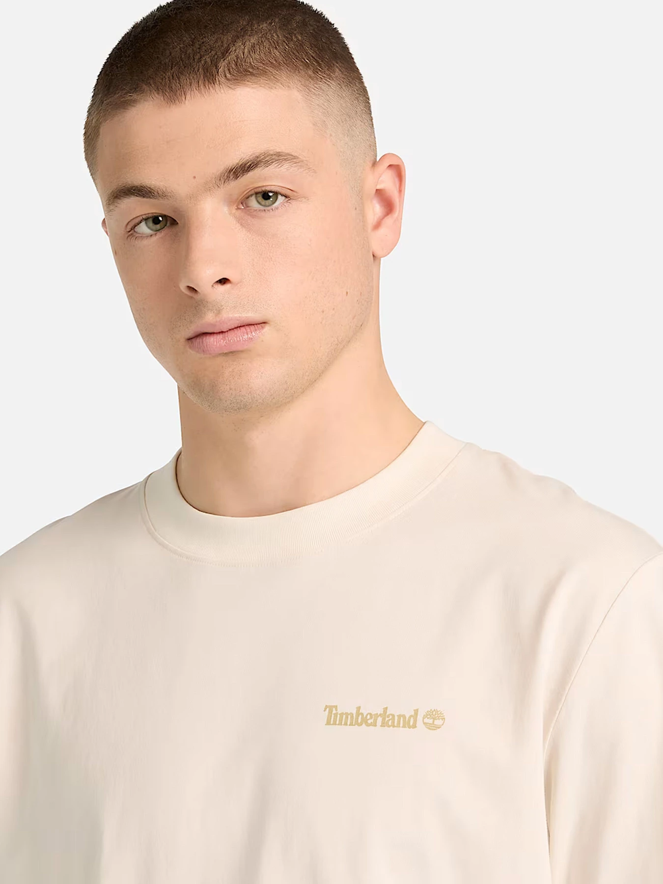 Футболки и поло Timberland модель TB0A5MNVCM9 Футболки и поло Timberland модель TB0A5MNVCM9 Фото