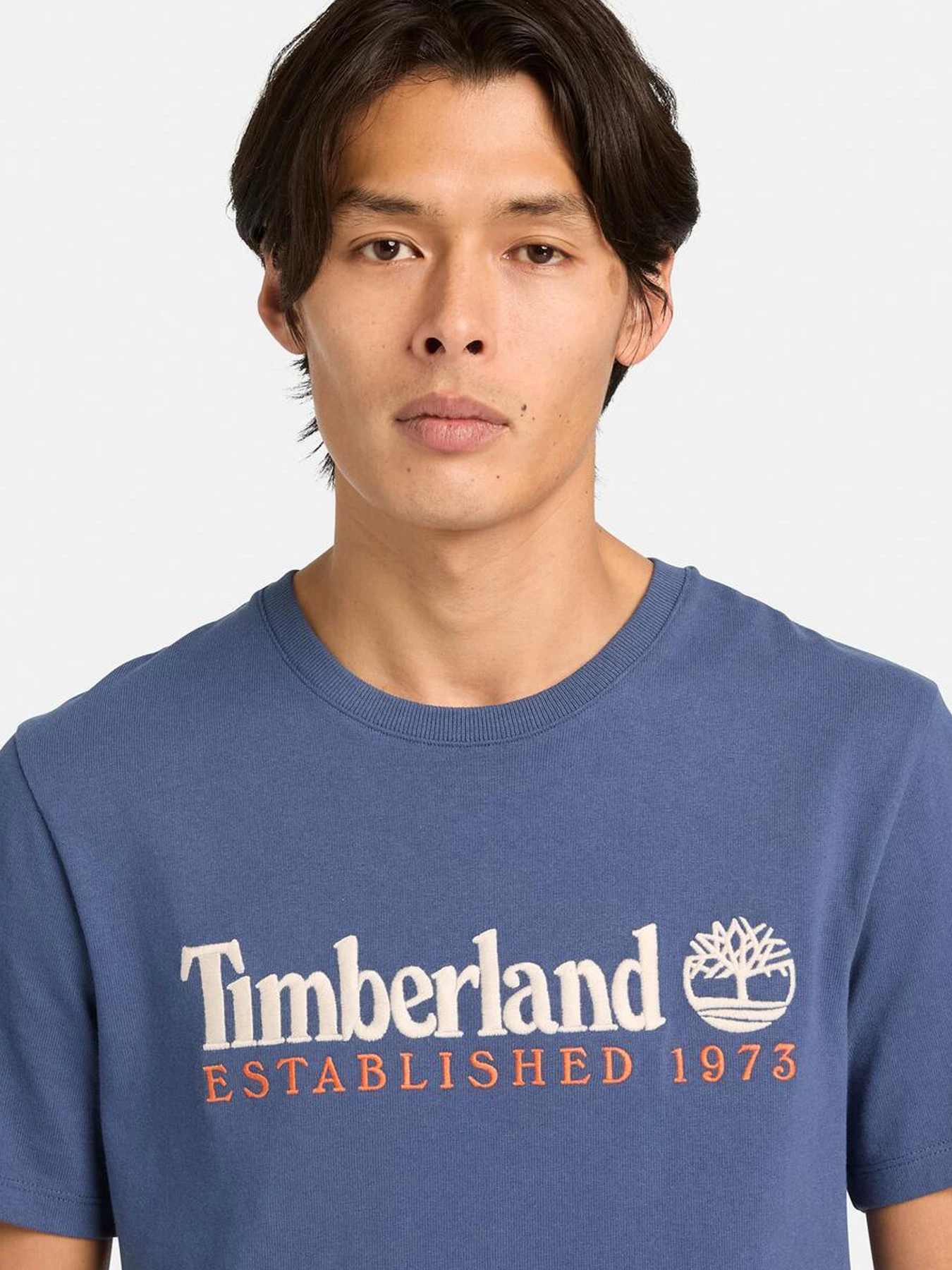 Футболки и поло Timberland модель TB0A6SE1EYO Футболки и поло Timberland модель TB0A6SE1EYO Фото