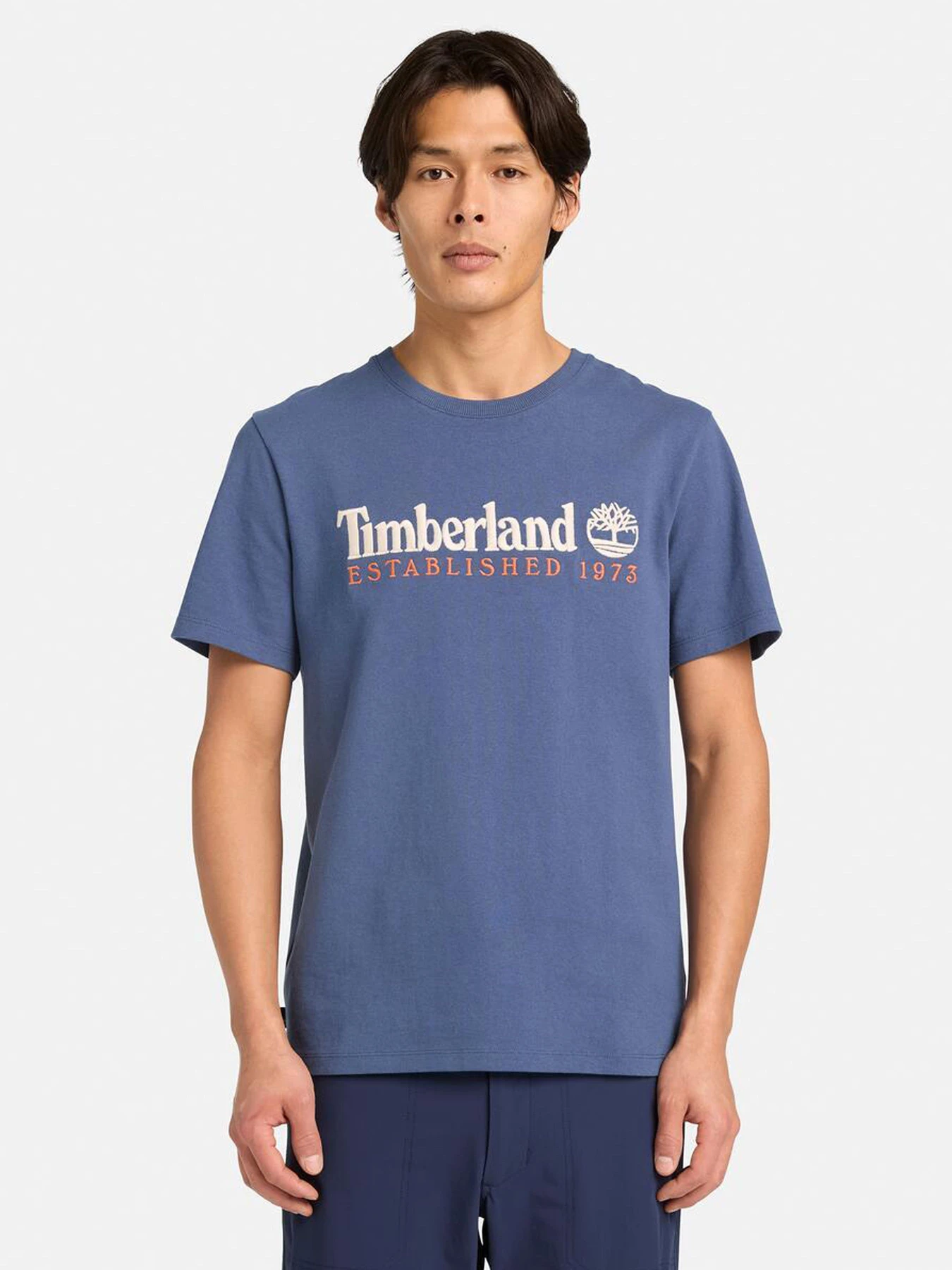 Футболки и поло Timberland модель TB0A6SE1EYO Футболки и поло Timberland модель TB0A6SE1EYO Фото