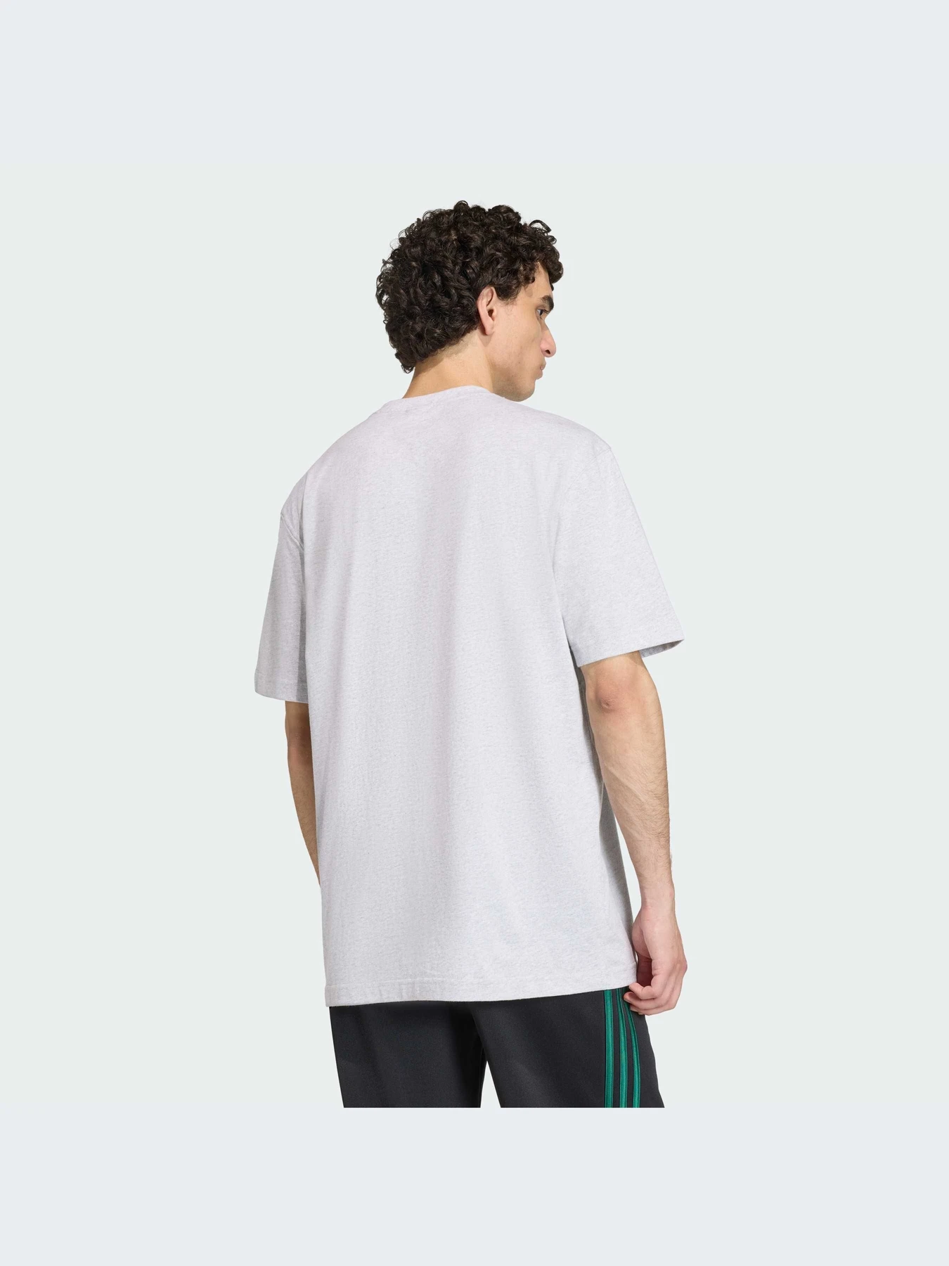 Футболки и поло Adidas Graphics модель KS7617-KZ Футболки и поло Adidas Graphics модель KS7617-KZ Фото