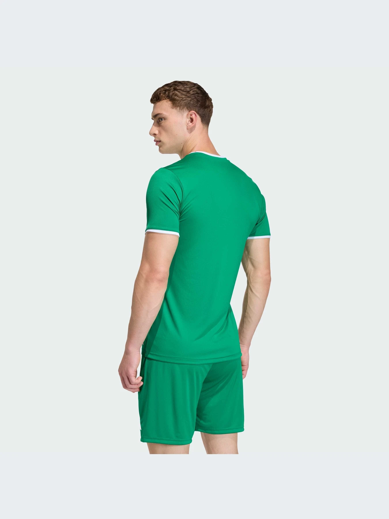 Футболки и поло Adidas модель JZ2503-KZ Футболки и поло Adidas модель JZ2503-KZ Фото