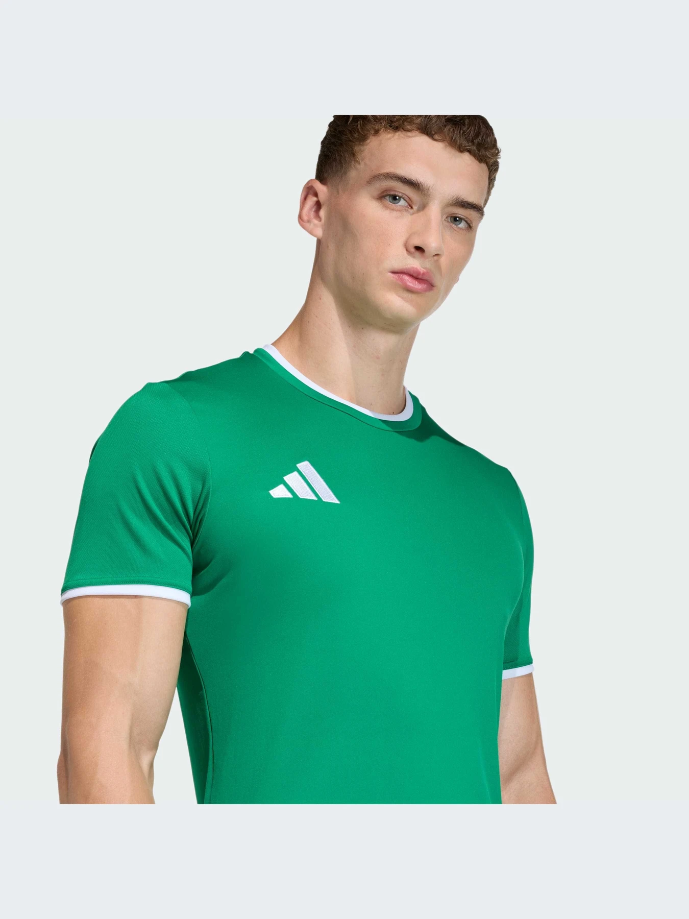 Футболки и поло Adidas модель JZ2503-KZ Футболки и поло Adidas модель JZ2503-KZ Фото