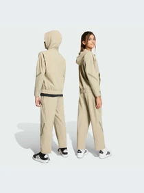 Брюки Adidas ZNE модель KC1957-KZ Фото