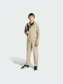Брюки Adidas ZNE модель KC1957-KZ Фото