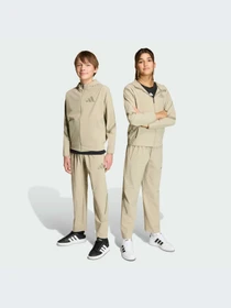 Брюки Adidas ZNE модель KC1957-KZ Фото