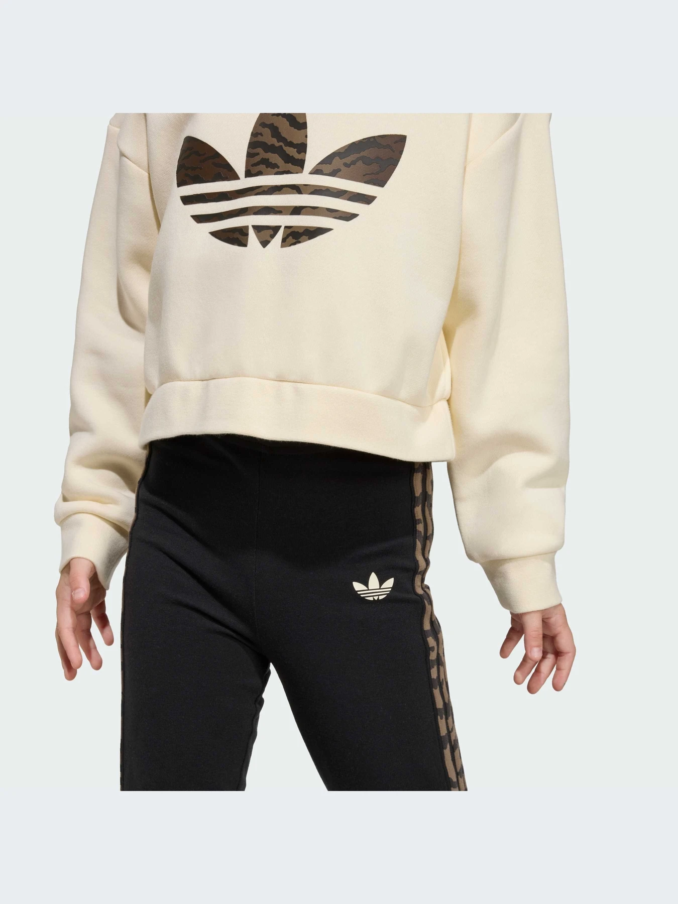 Костюмы Adidas Graphics модель KD5814-KZ Костюмы Adidas Graphics модель KD5814-KZ Фото