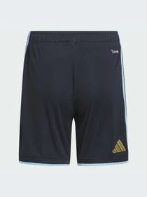 Шорты Adidas модель KA8113-KZ Фото
